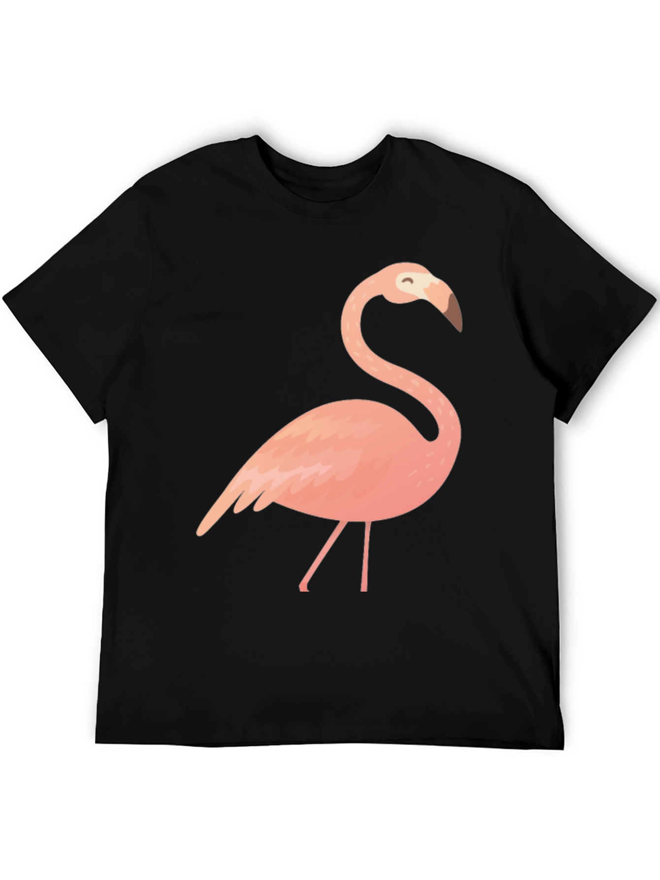 Black Flamingo Graphic Tee