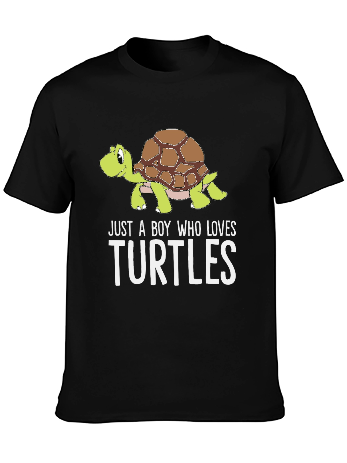 Boys Turtle Lover Graphic Tee - Cute Turtle Design