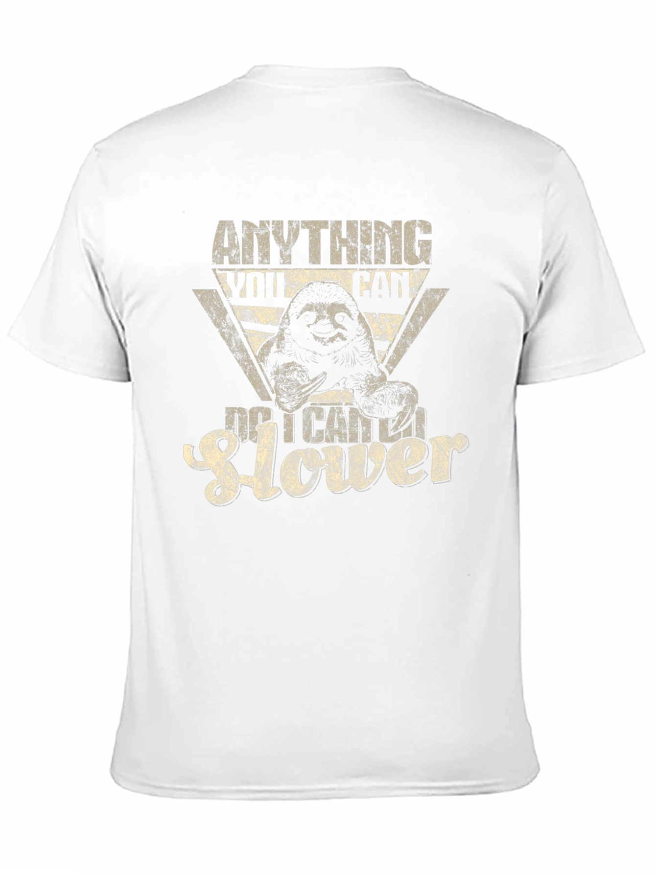 Anything You Can Do I Can Do It Slower Sloth Graphic Tee