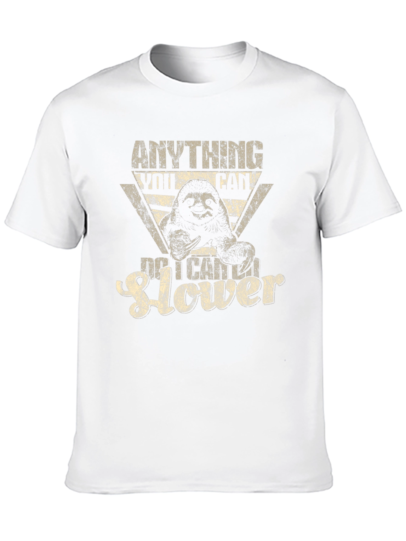 Anything You Can Do I Can Do It Slower Sloth Graphic Tee