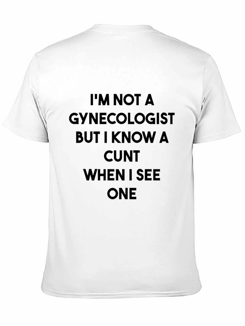 Offensive Humor T-Shirt