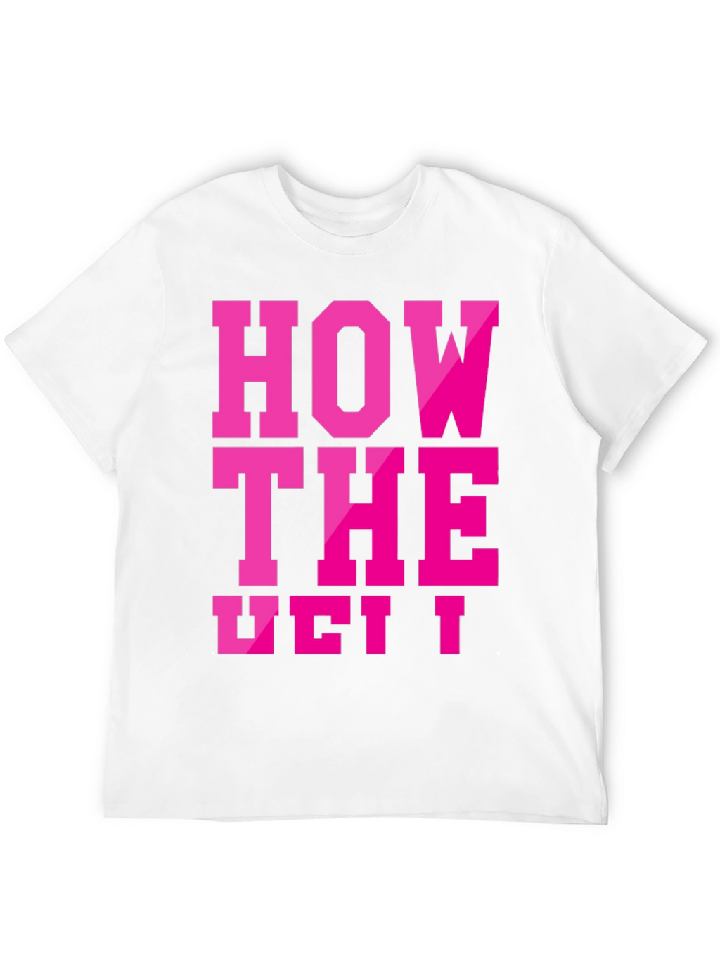 Humorous Slogan T-Shirt - How The Vet I