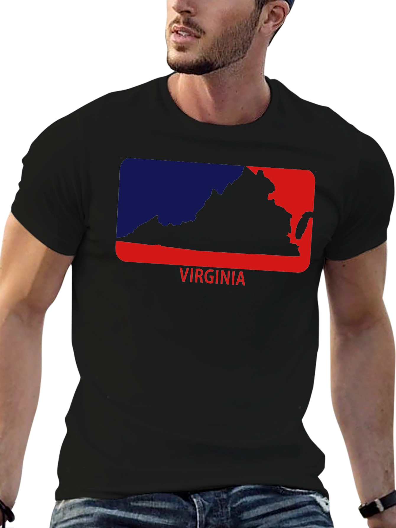 Virginia State Outline Graphic Tee