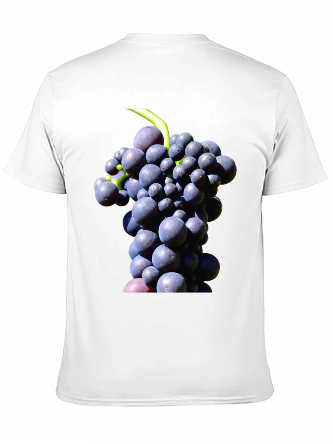 Grapes Graphic Tee - Black Cotton Blend Casual Wear