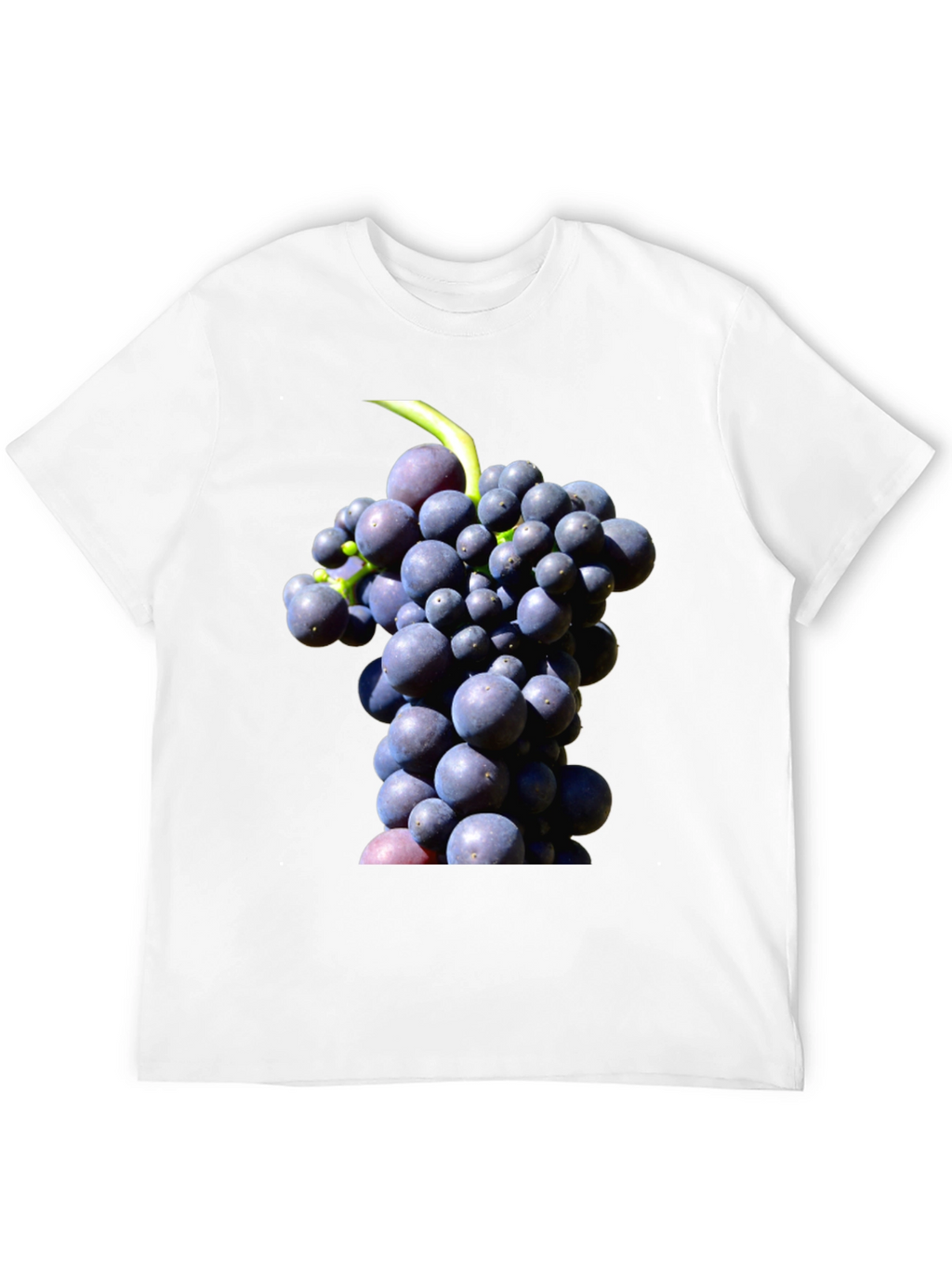 Grapes Graphic Tee - Black Cotton Blend Casual Wear