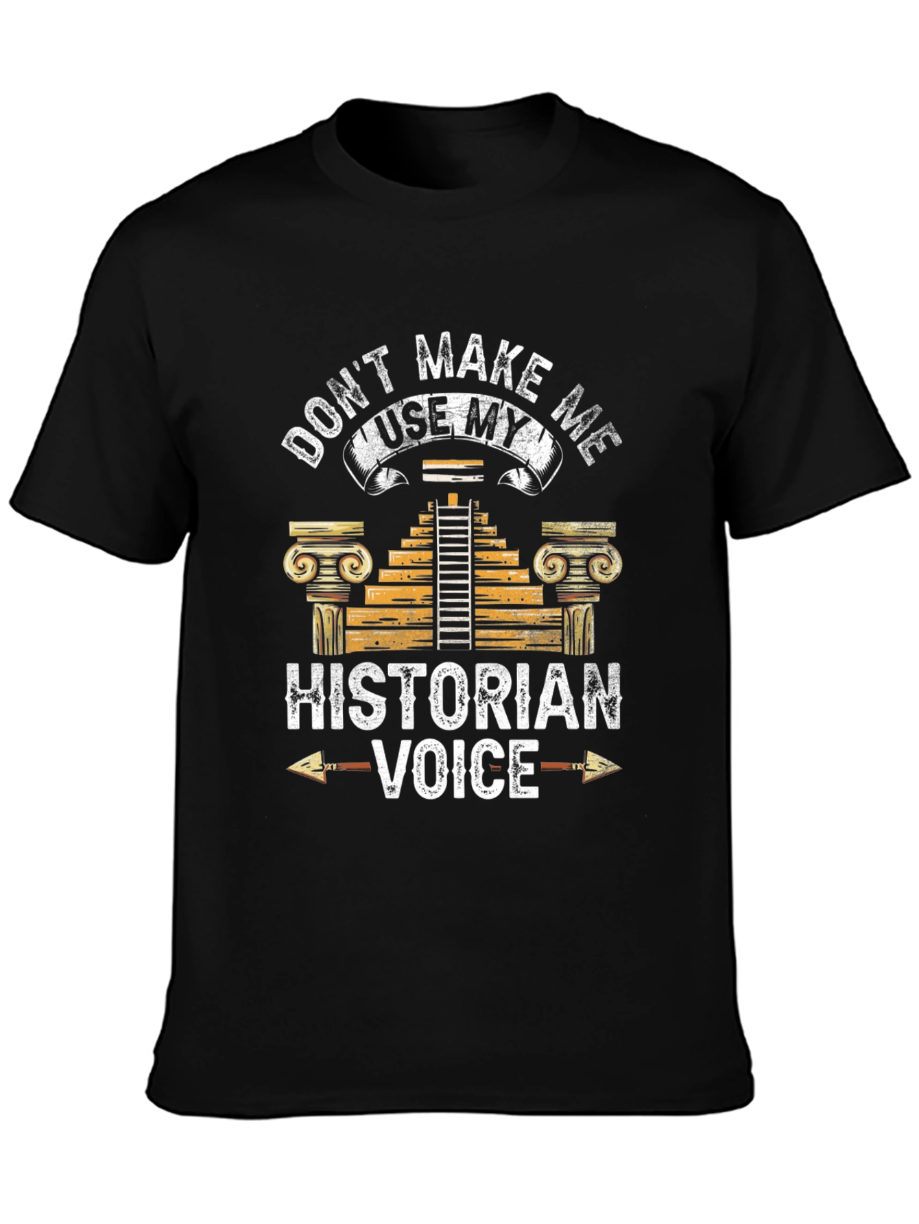 Historian Voice T-Shirt Funny History Tee