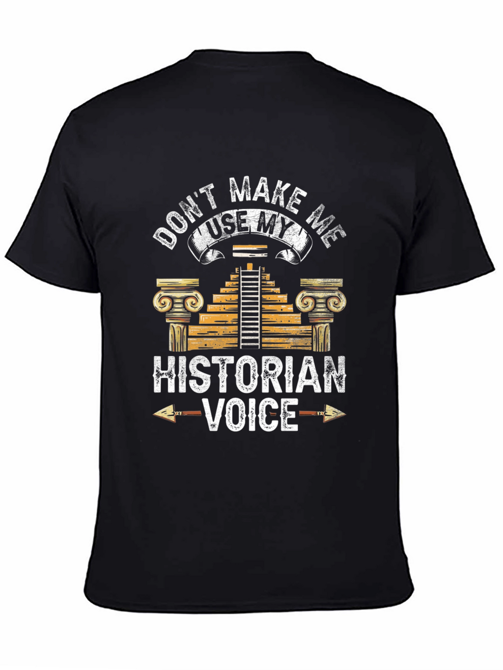 Historian Voice T-Shirt Funny History Tee