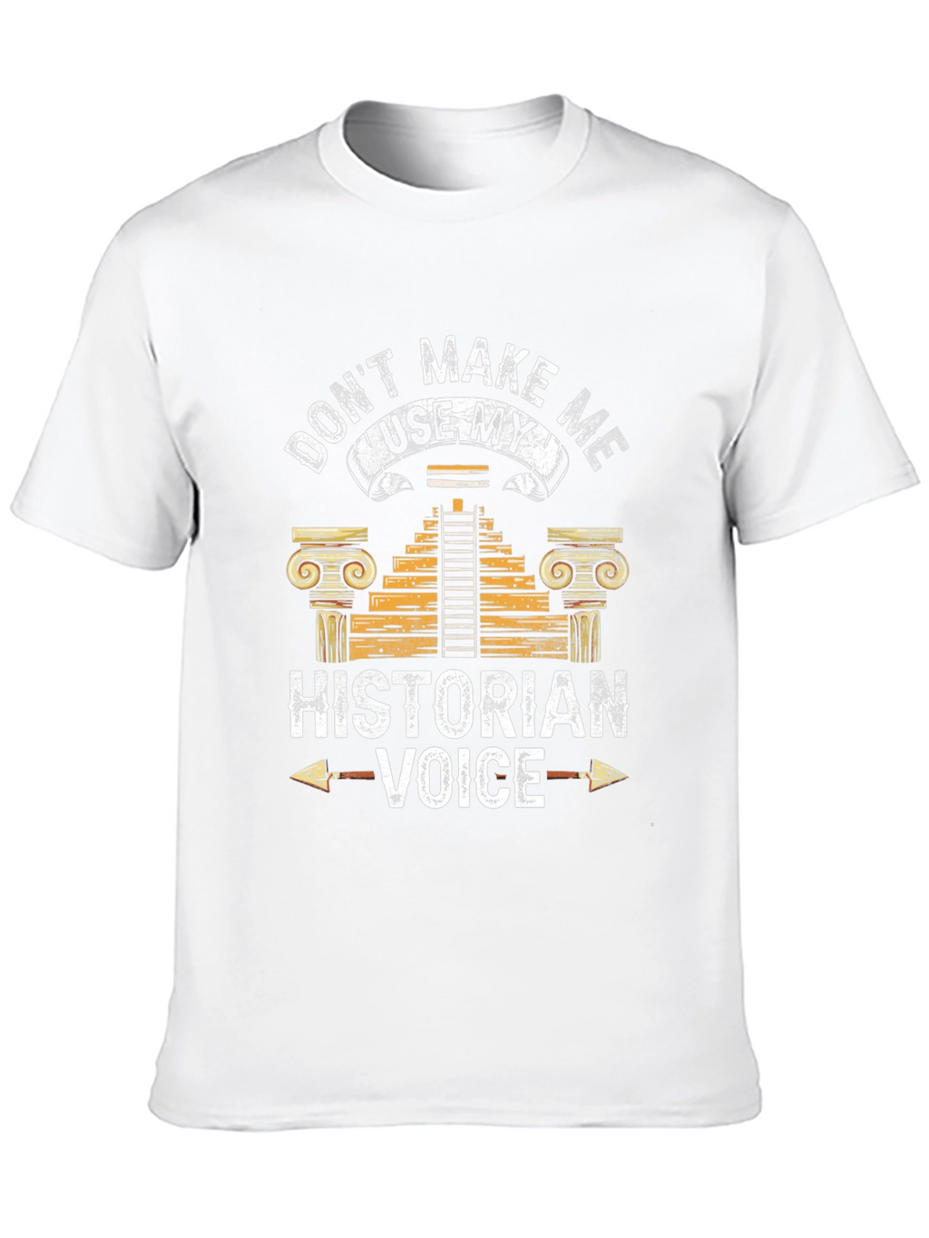 Historian Voice T-Shirt Funny History Tee