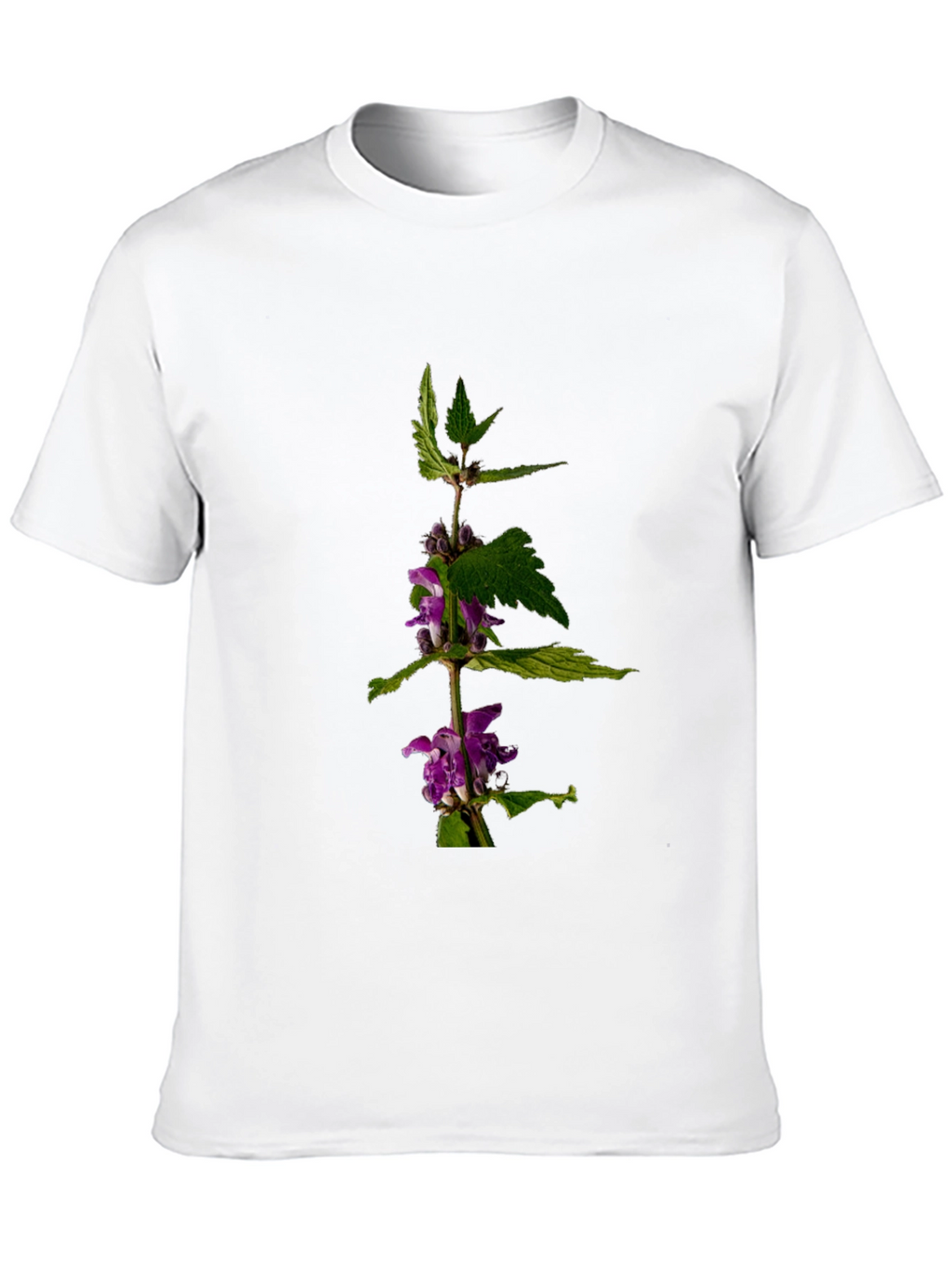 Botanical Print T-Shirt