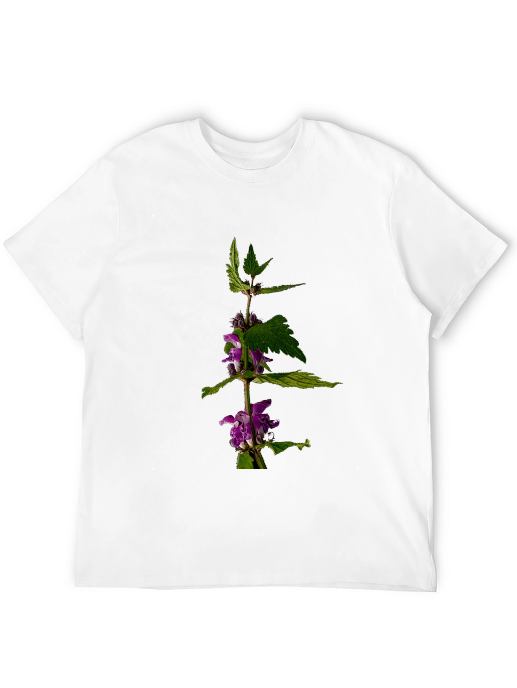 Botanical Print T-Shirt