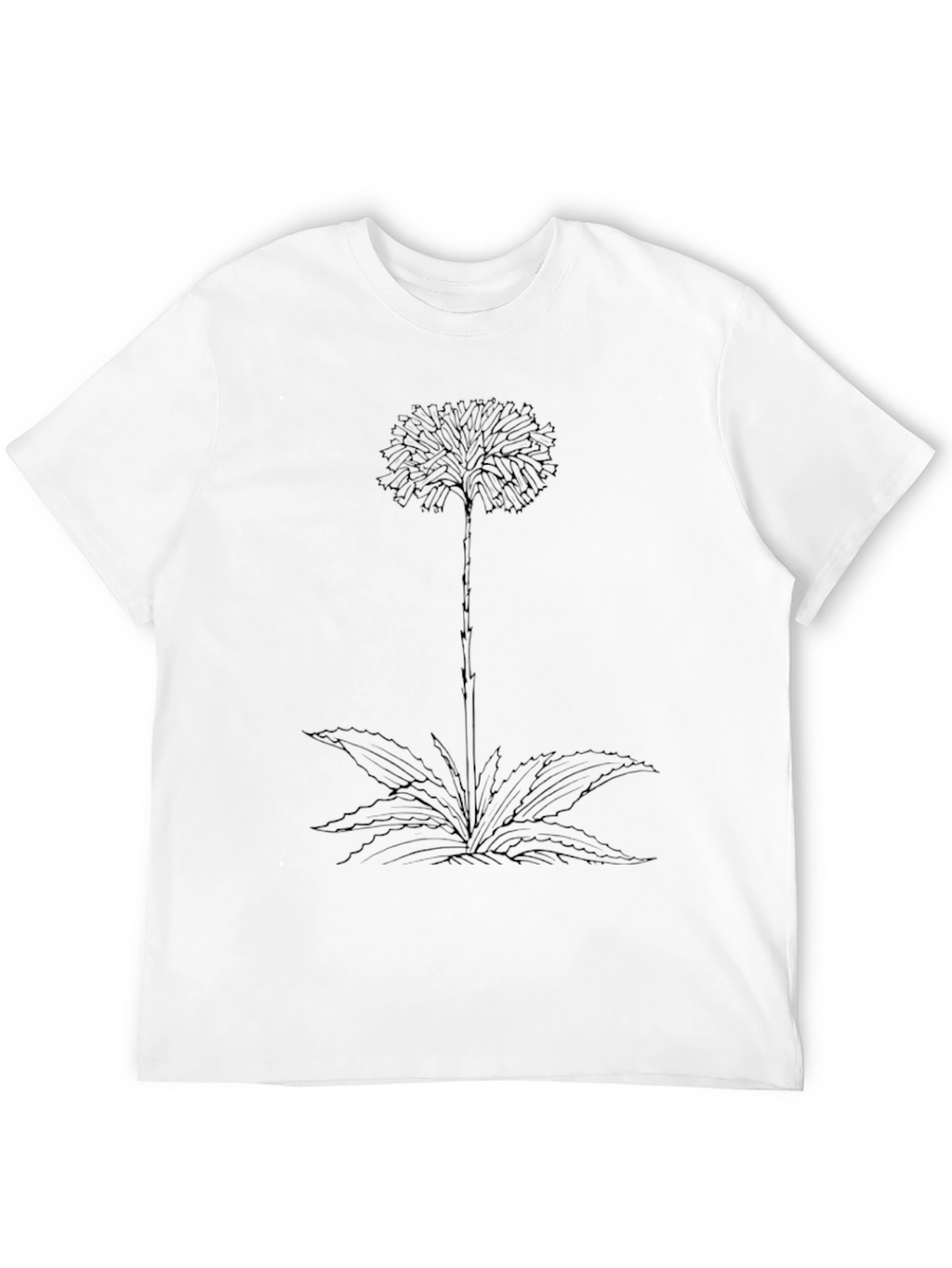 Botanical Graphic Tee - Black Cotton Comfort
