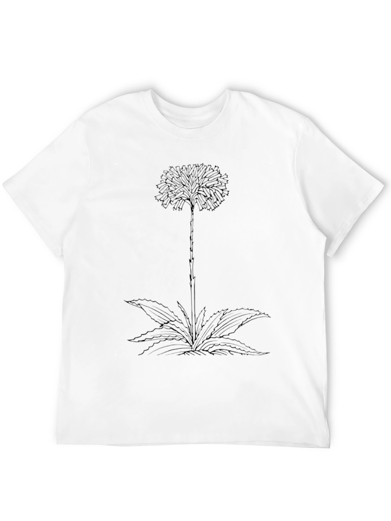 Botanical Graphic Tee - Black Cotton Comfort