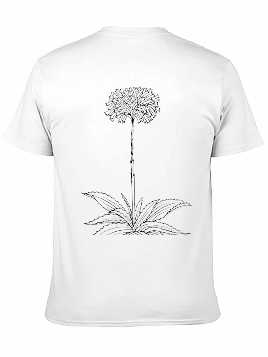Botanical Graphic Tee - Black Cotton Comfort