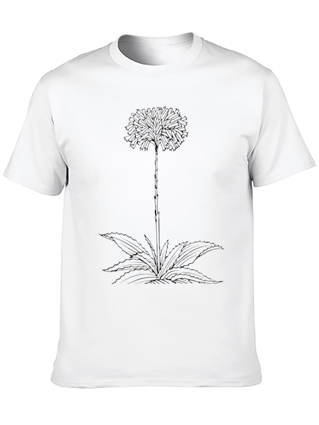 Botanical Graphic Tee - Black Cotton Comfort
