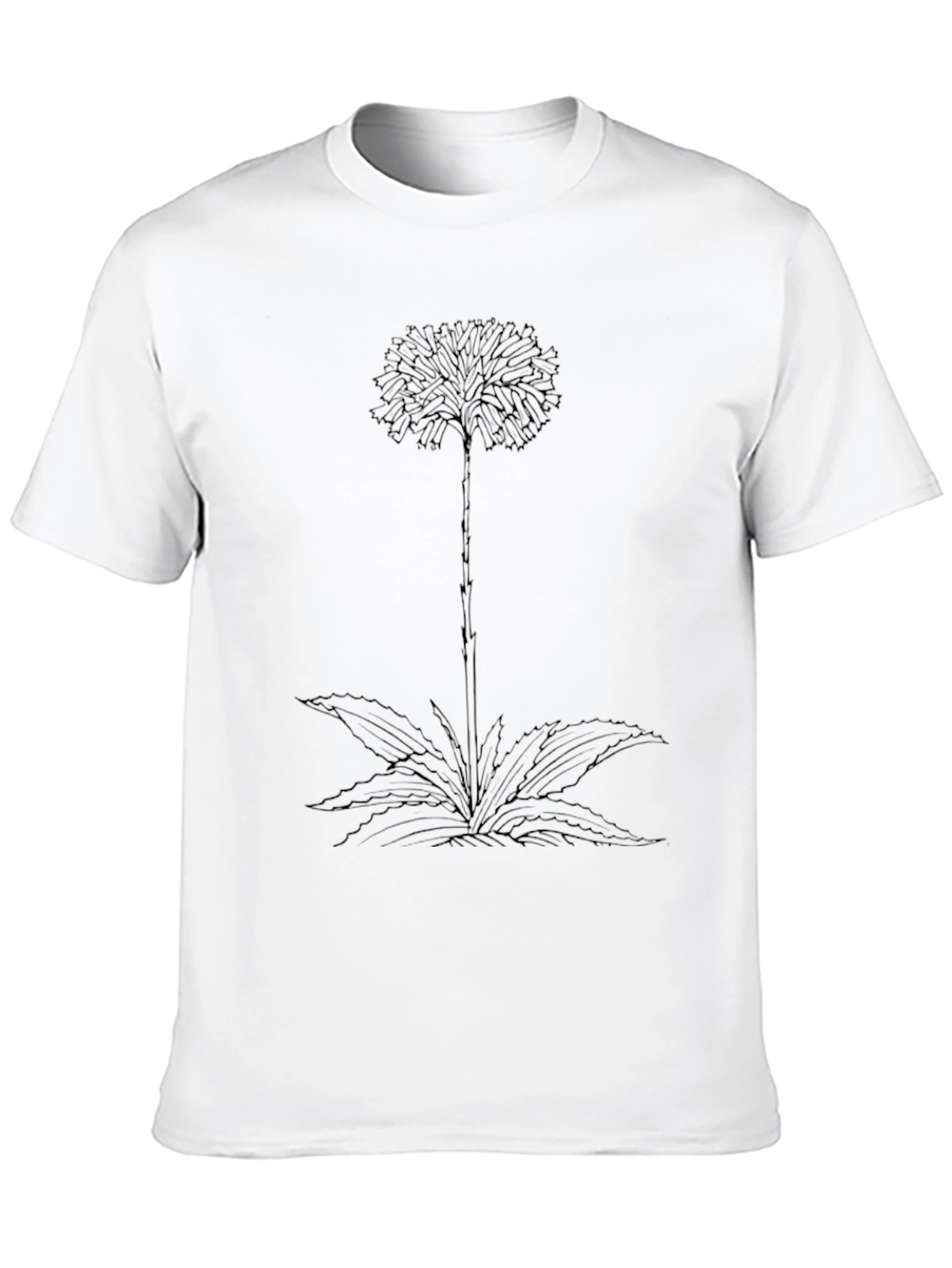 Botanical Graphic Tee - Black Cotton Comfort