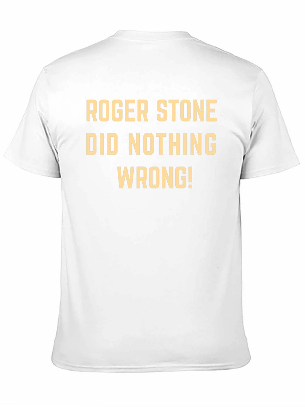 Roger Stone Did Nothing Wrong! Tee