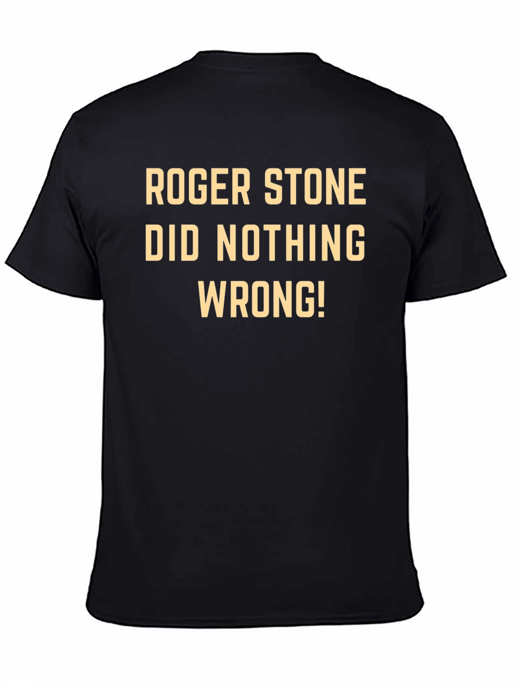 Roger Stone Did Nothing Wrong! Tee
