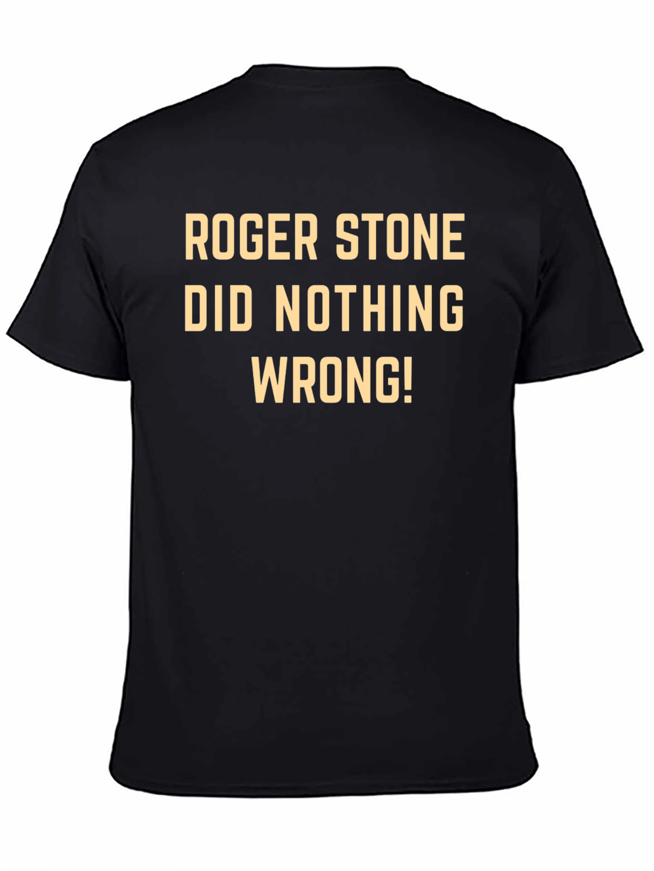 Roger Stone Did Nothing Wrong! Tee