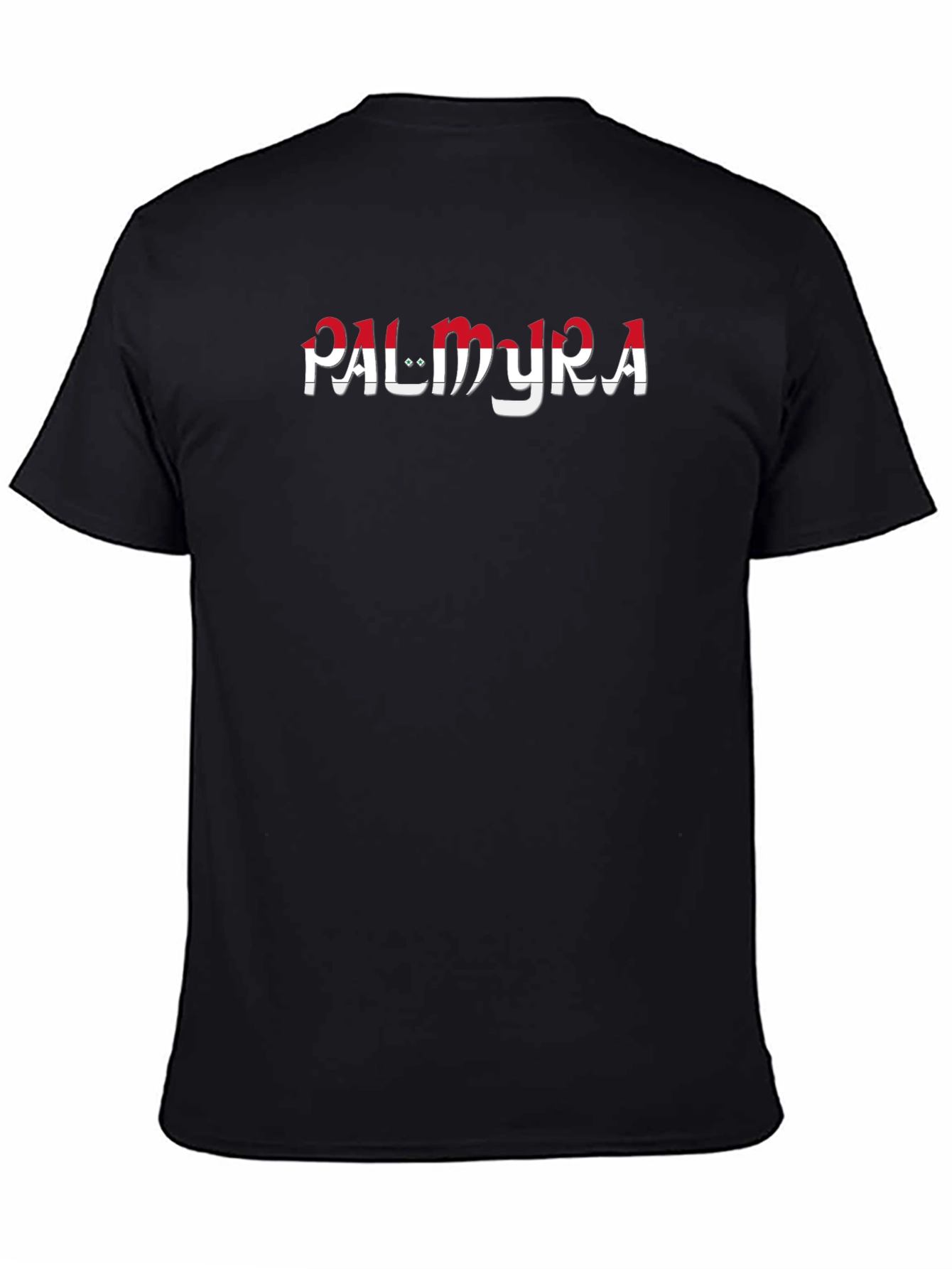Palmyra Graphic Print Black T-Shirt