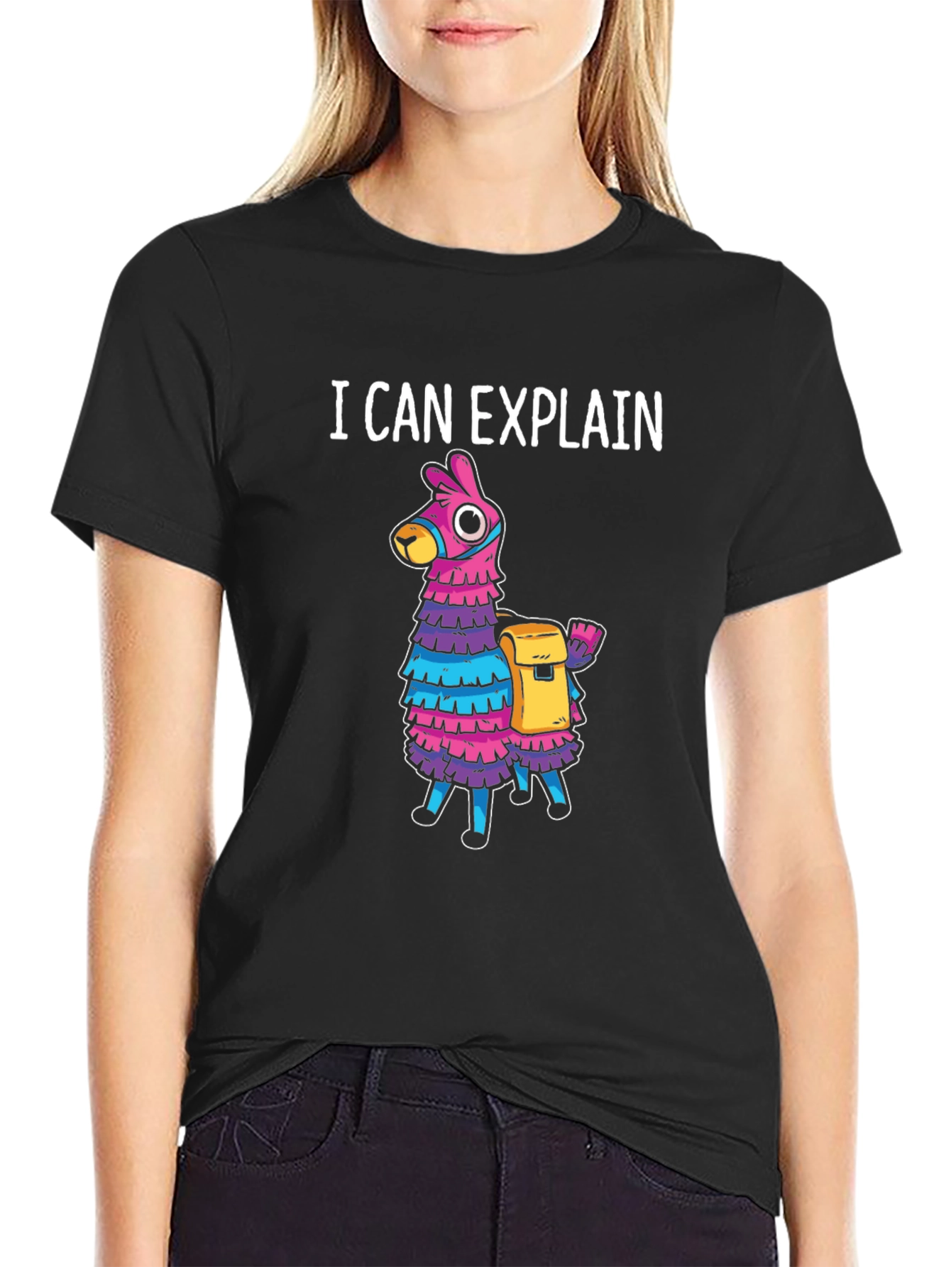I Can Explain Llama Piñata T-Shirt