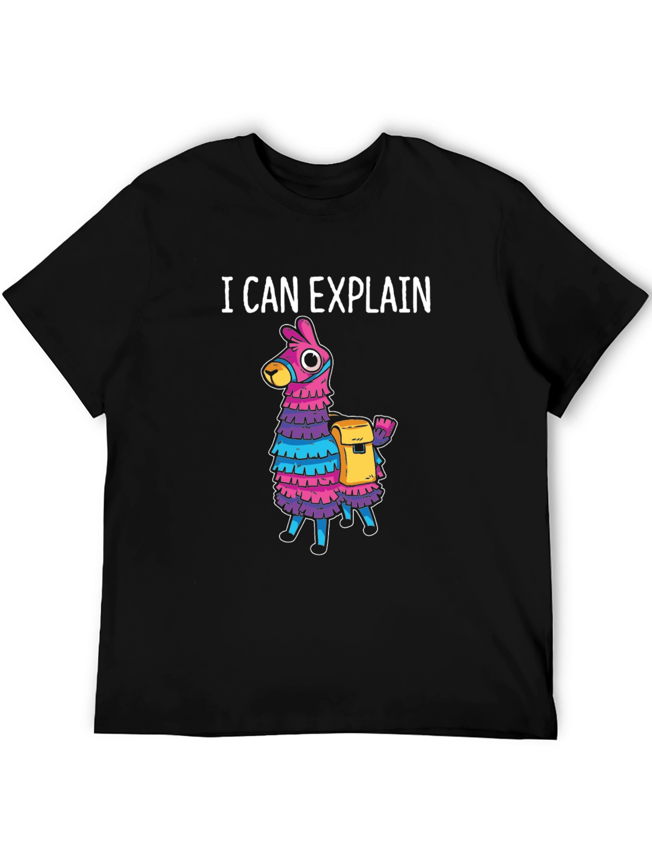 I Can Explain Llama Piñata T-Shirt