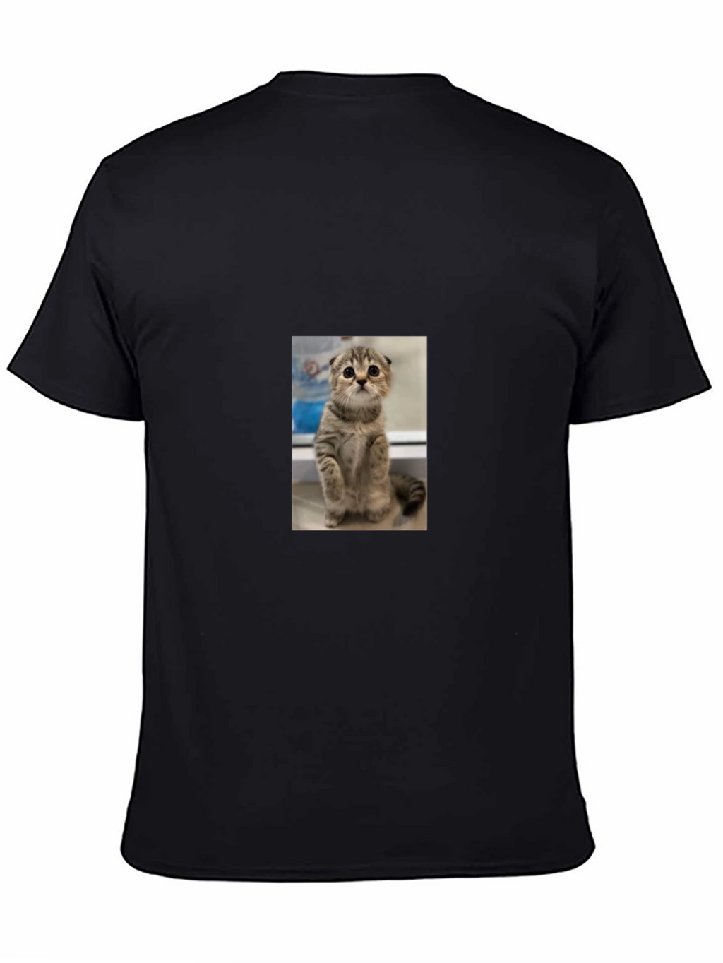 Cute Cat Graphic Black T-Shirt