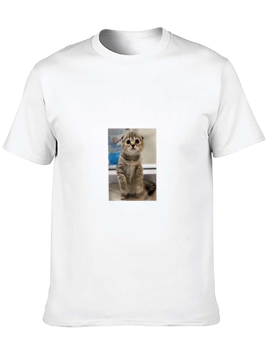 Cute Cat Graphic Black T-Shirt