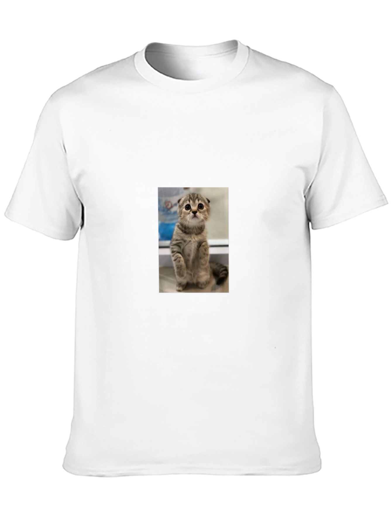 Cute Cat Graphic Black T-Shirt
