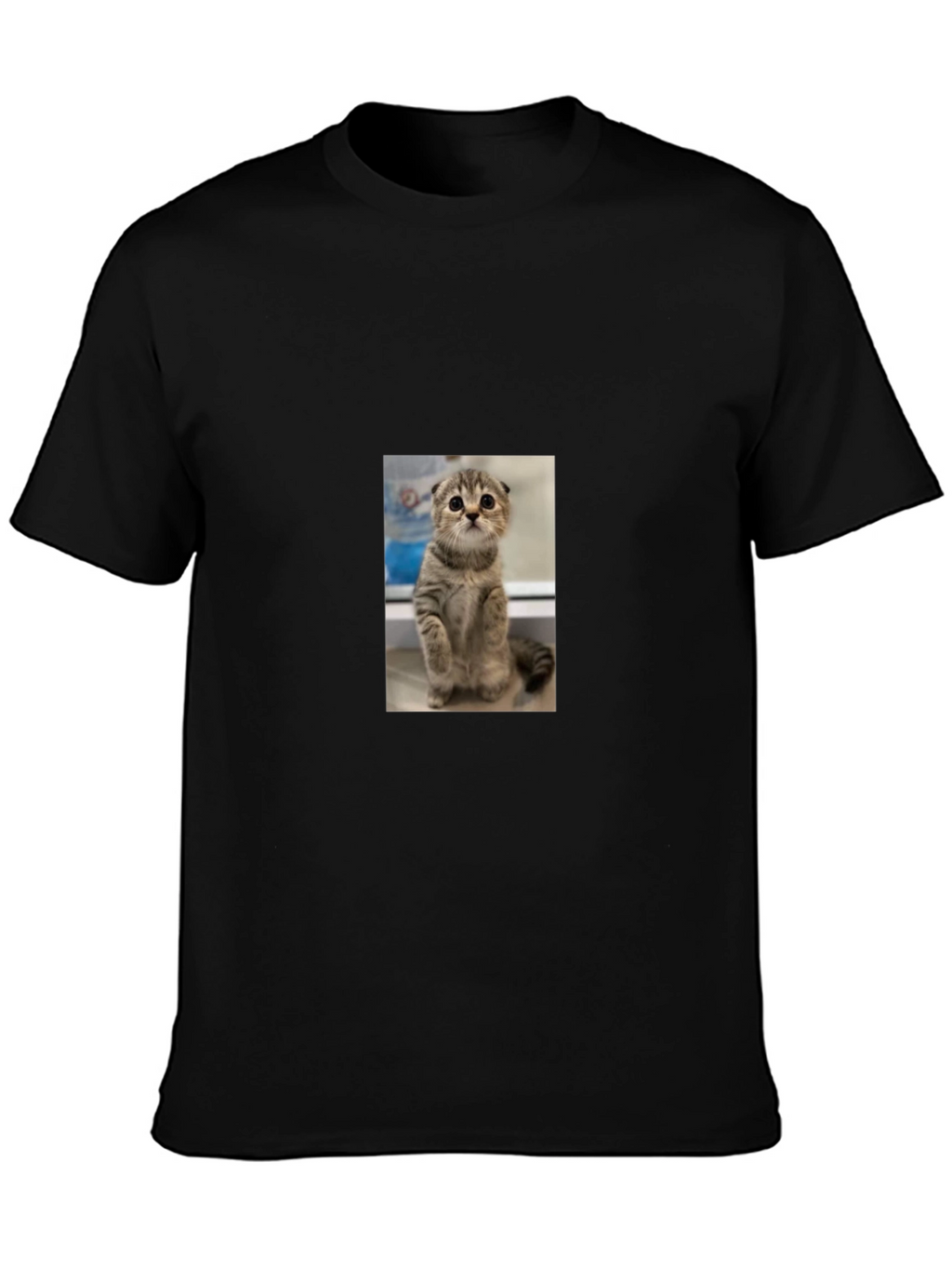 Cute Cat Graphic Black T-Shirt