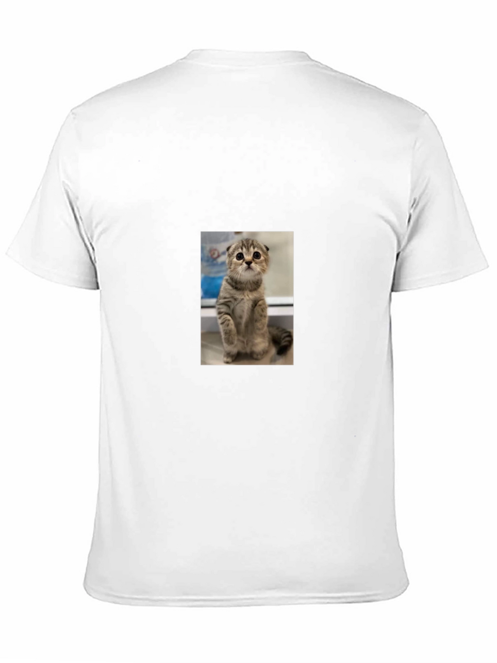 Cute Cat Graphic Black T-Shirt