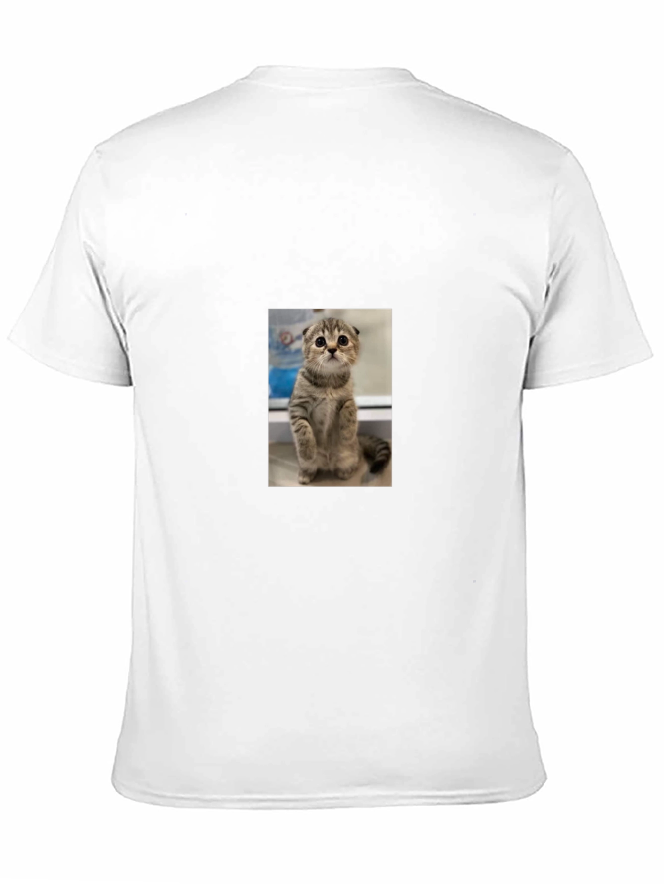 Cute Cat Graphic Black T-Shirt