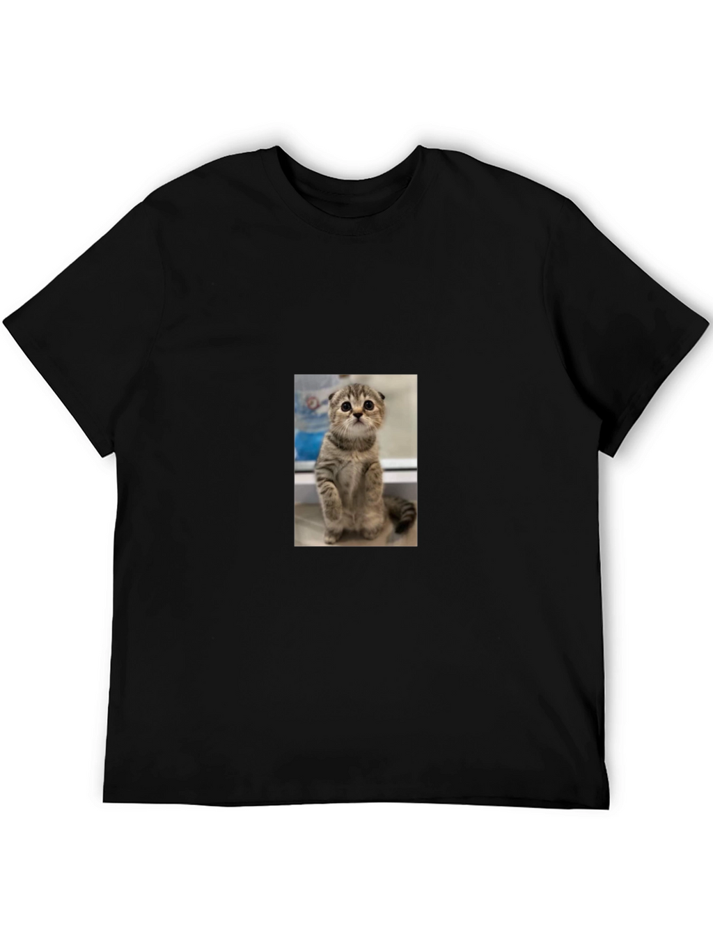 Cute Cat Graphic Black T-Shirt