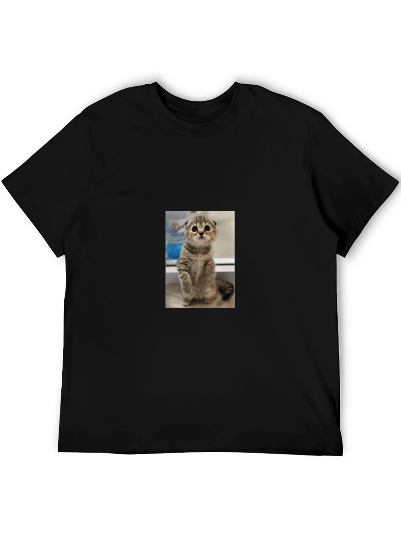Cute Cat Graphic Black T-Shirt