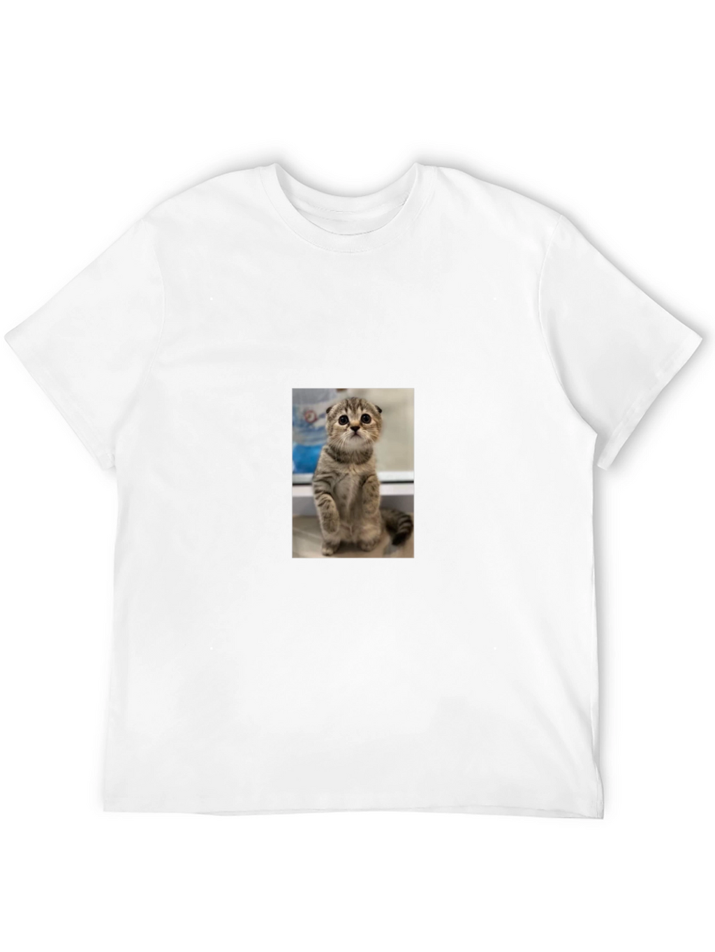 Cute Cat Graphic Black T-Shirt