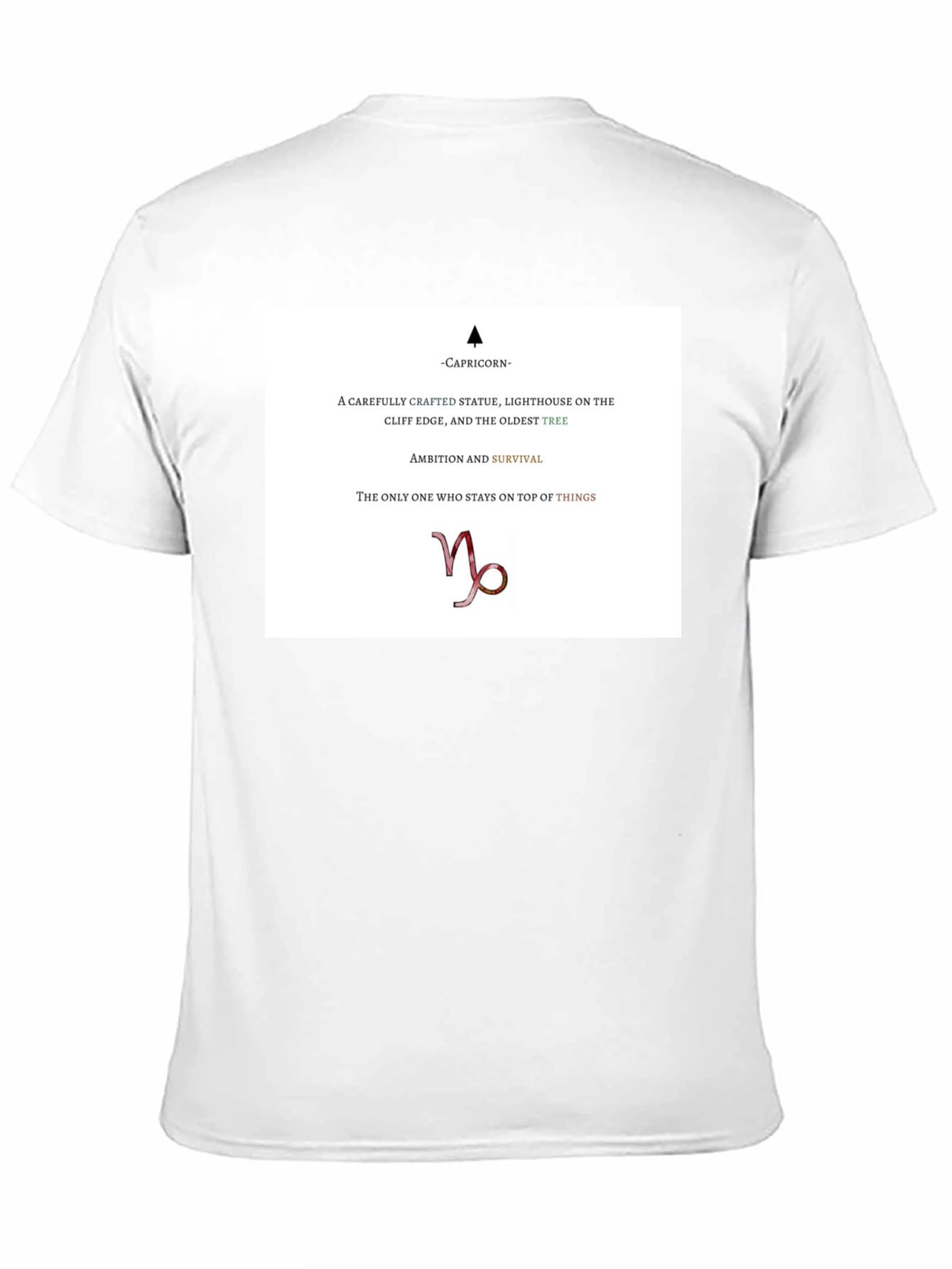 Capricorn Zodiac T-Shirt - Ambition & Survival Tee