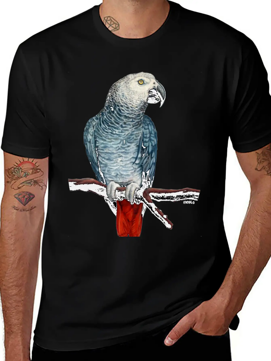African Grey Parrot Essential Cotton Tee For Daily Outfits – Unisex Style
