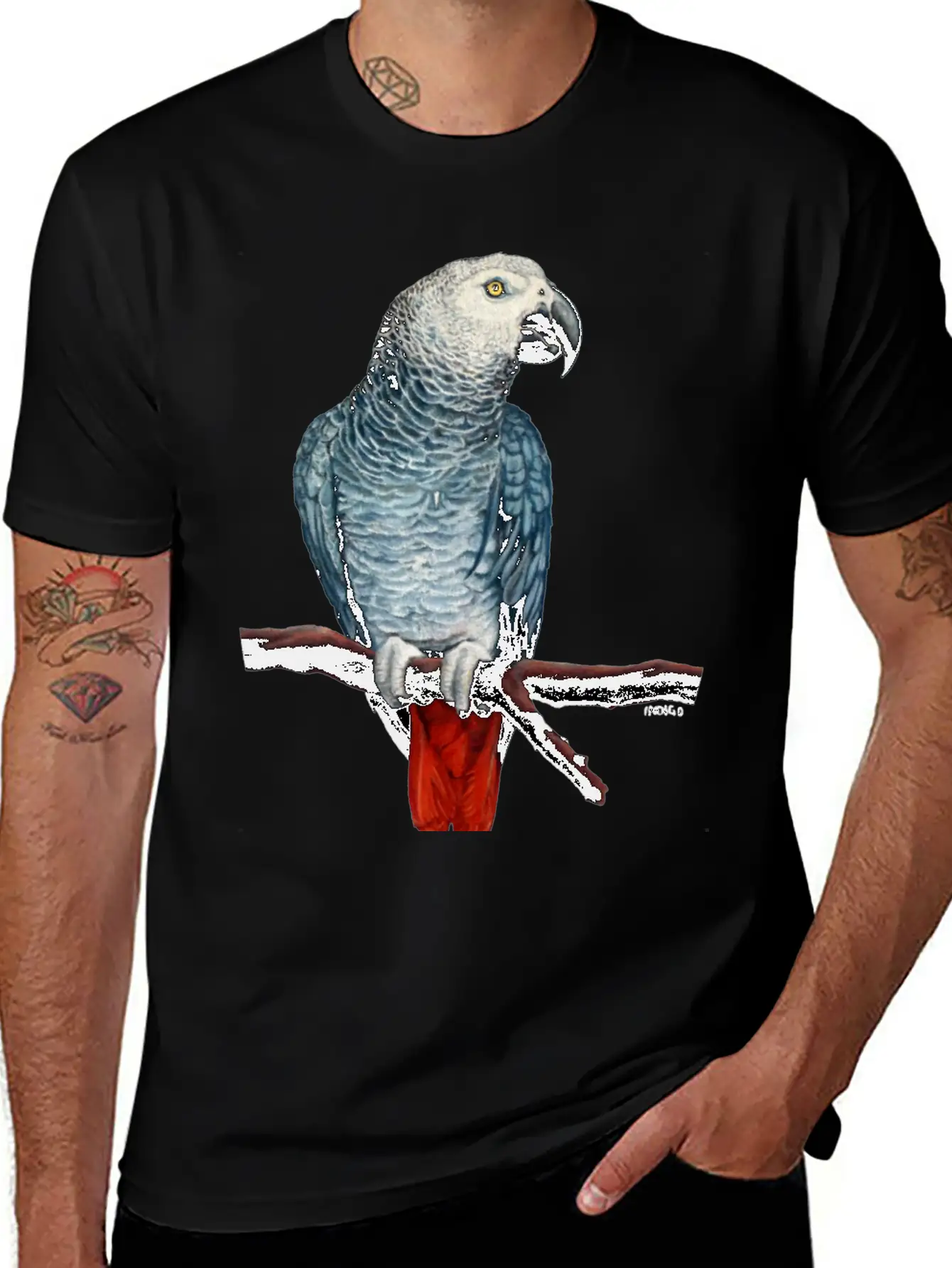 African Grey Parrot Essential Cotton Tee For Daily Outfits – Unisex Style