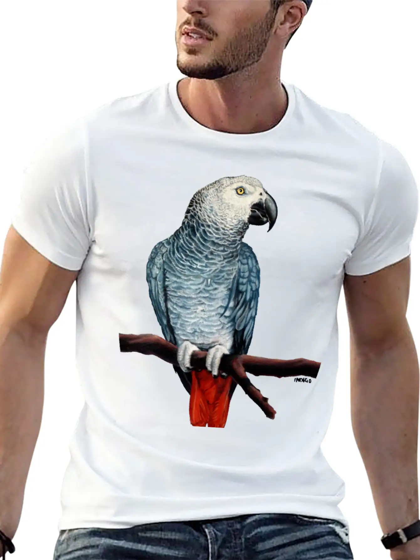 African Grey Parrot Essential Cotton Tee For Daily Outfits – Unisex Style