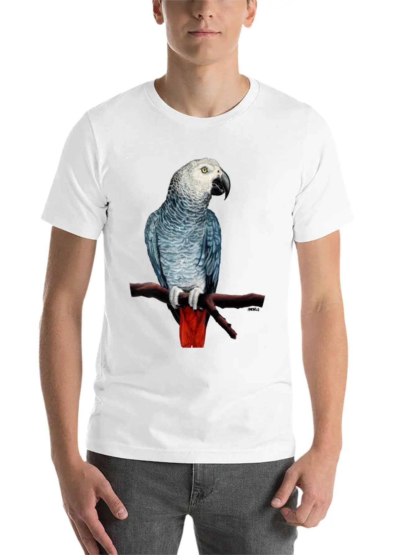 African Grey Parrot Essential Cotton Tee For Daily Outfits – Unisex Style