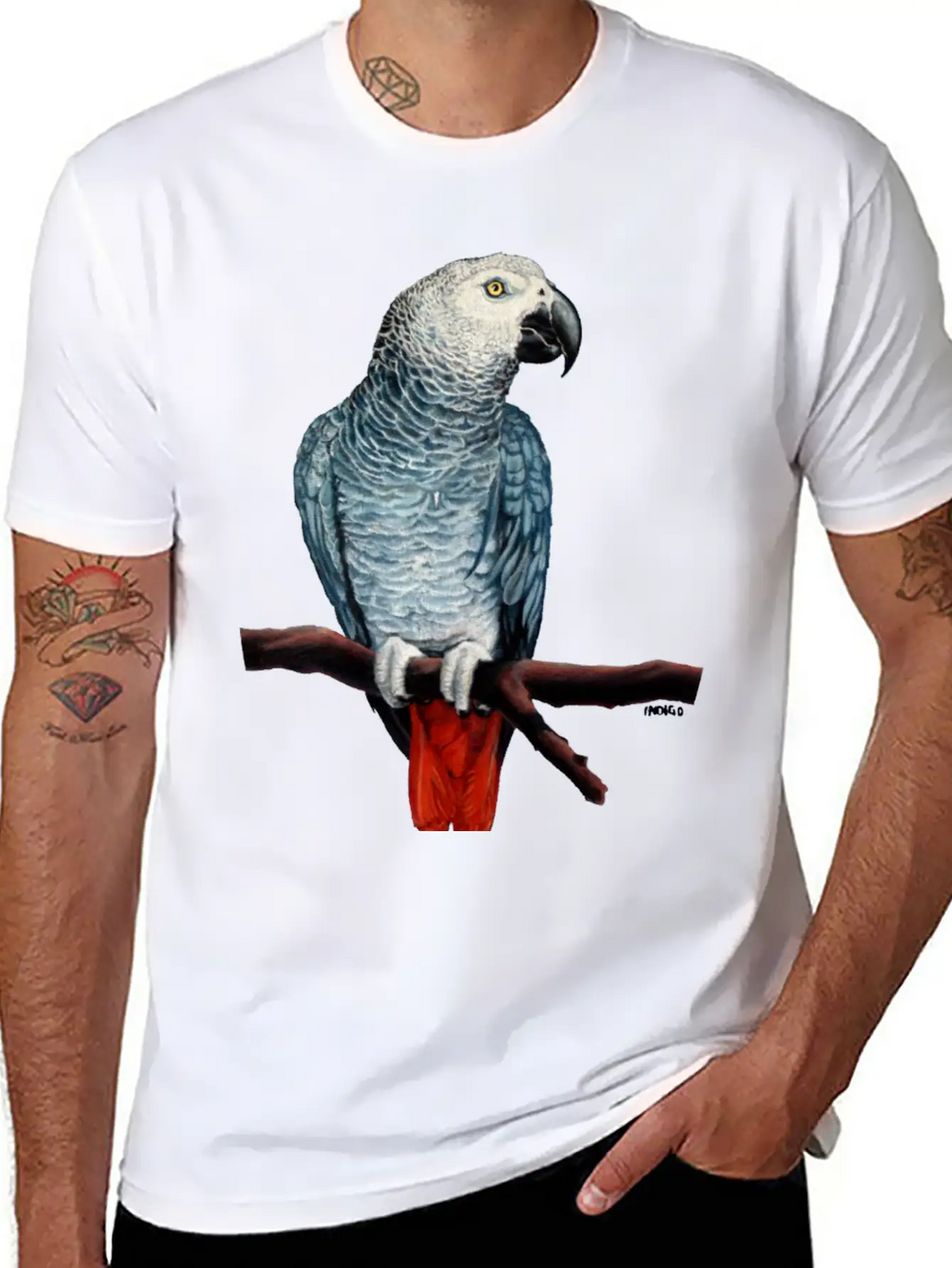 African Grey Parrot Essential Cotton Tee For Daily Outfits – Unisex Style
