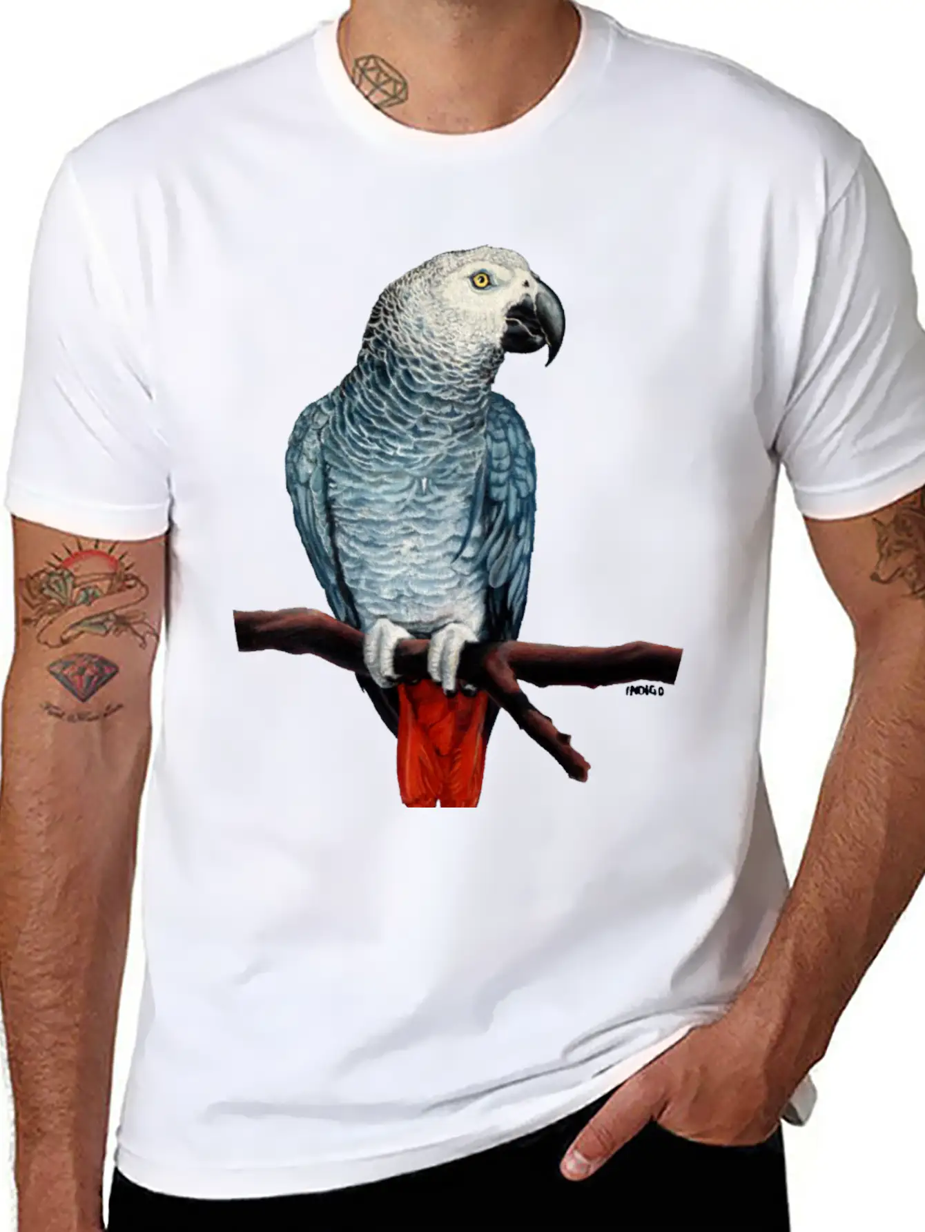 African Grey Parrot Essential Cotton Tee For Daily Outfits – Unisex Style