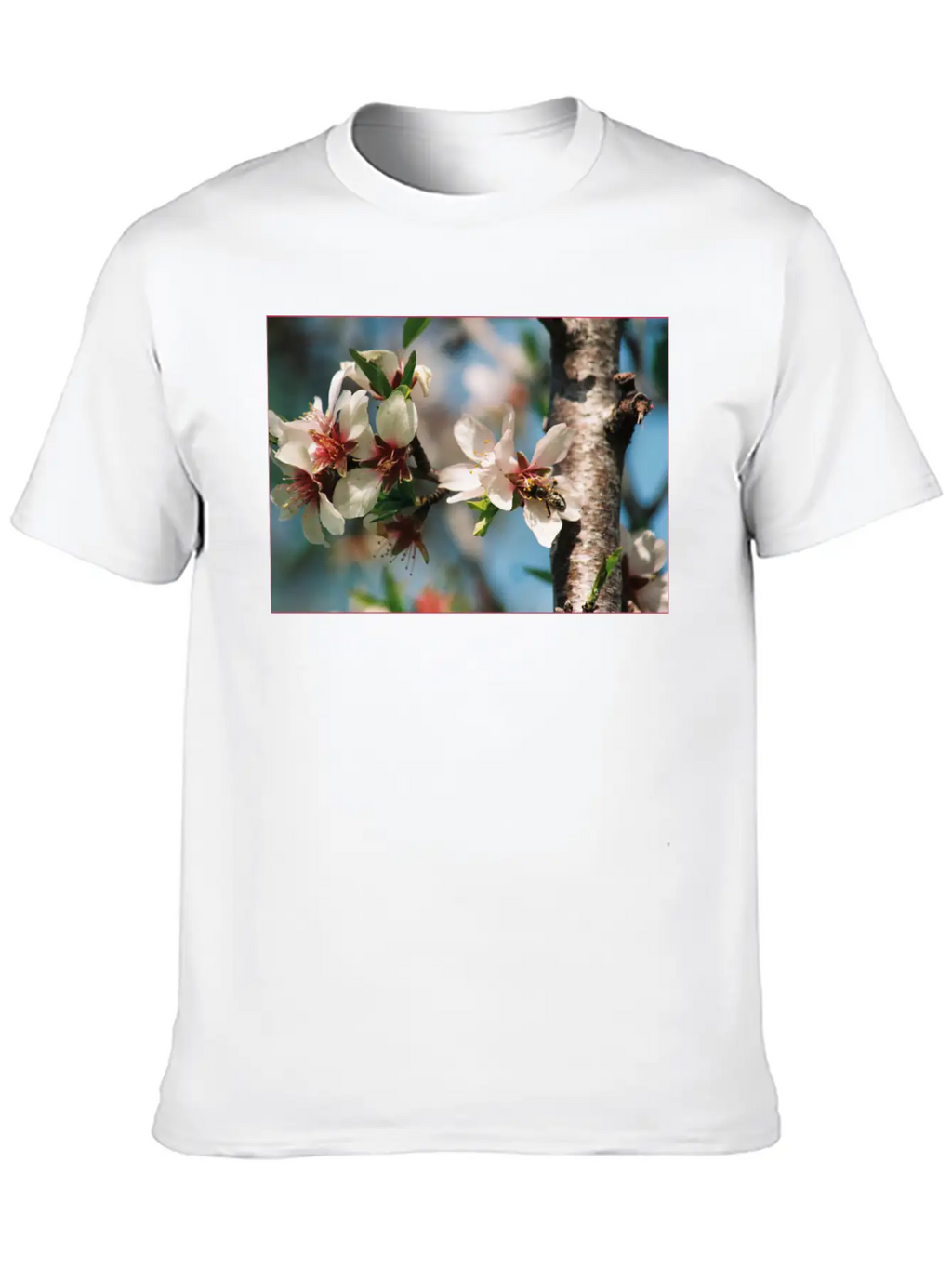 Almond Blossom With Bees On The Tree In Mallorca Casual Graphic T-Shirt – Simple And Comfortable Daily Wear
