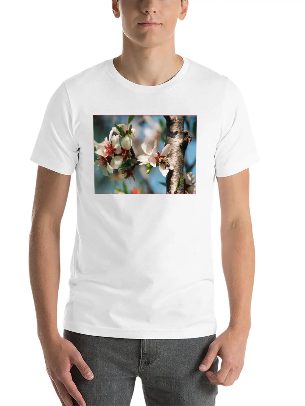 Almond Blossom With Bees On The Tree In Mallorca Casual Graphic T-Shirt – Simple And Comfortable Daily Wear
