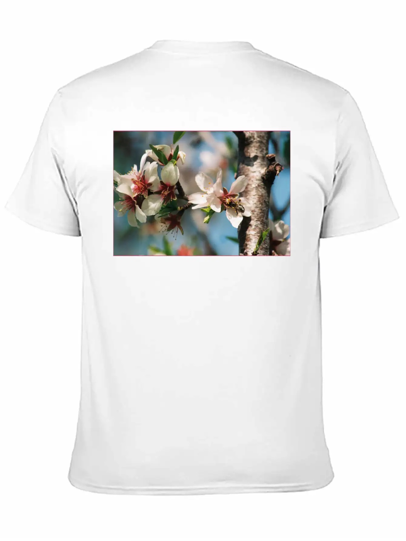 Almond Blossom With Bees On The Tree In Mallorca Casual Graphic T-Shirt – Simple And Comfortable Daily Wear