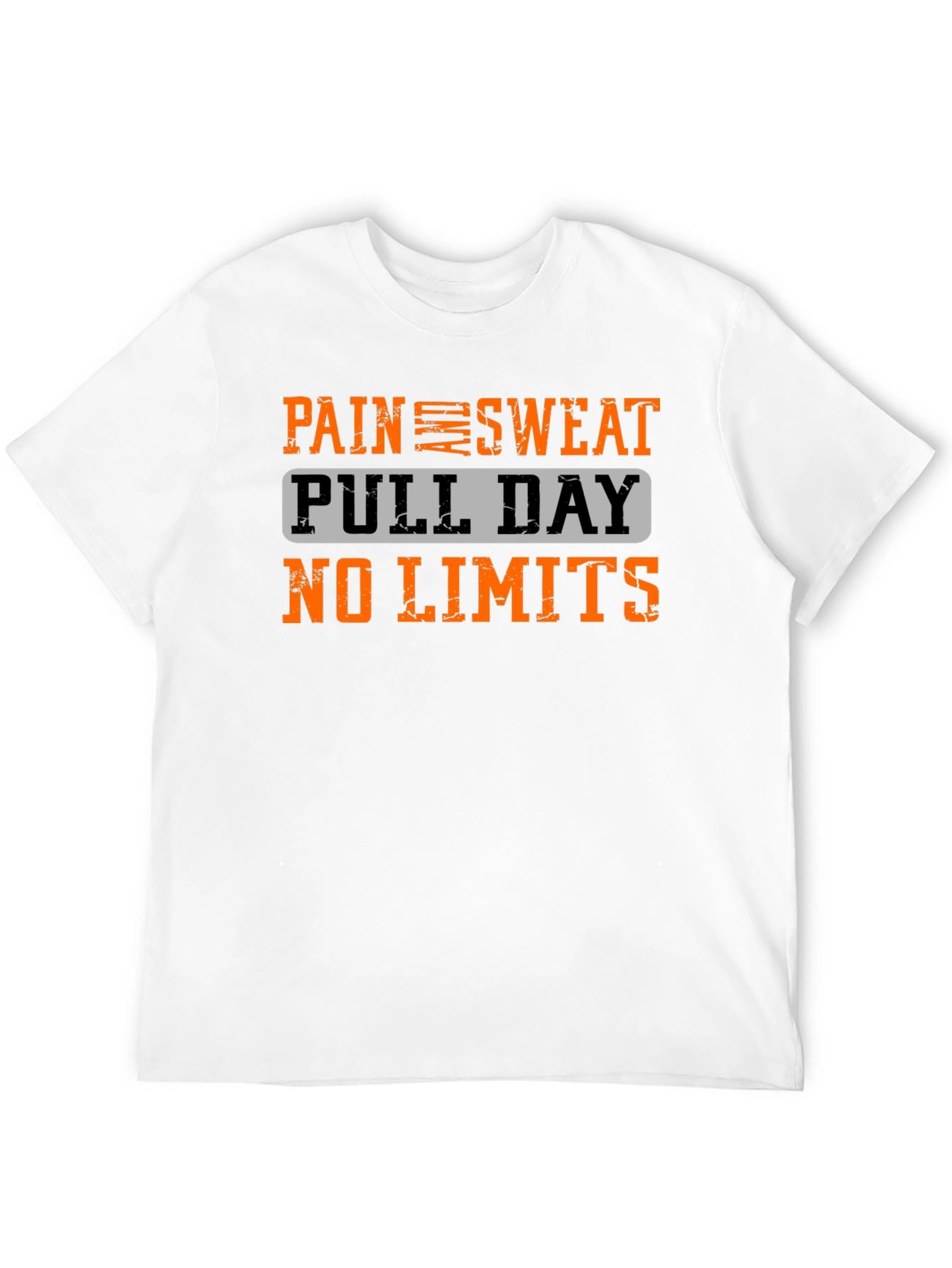 Pain Sweat Pull Day No Limits Workout T-Shirt