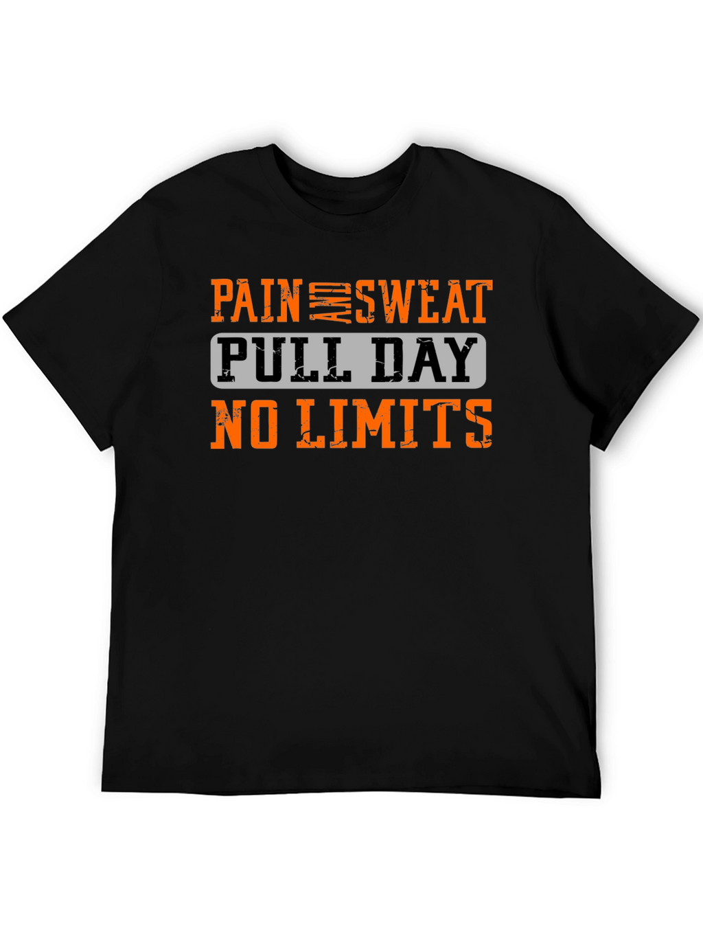 Pain Sweat Pull Day No Limits Workout T-Shirt