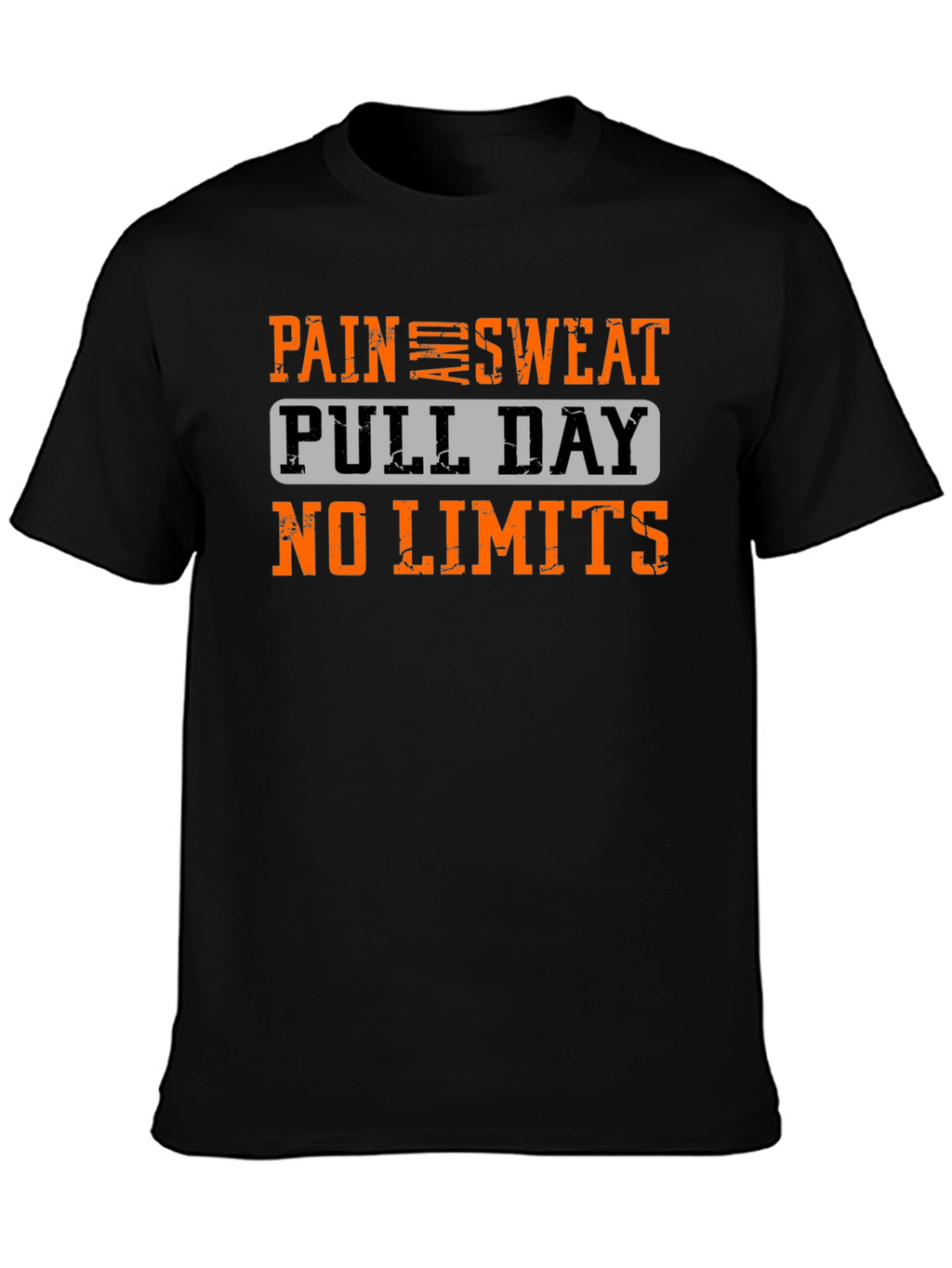 Pain Sweat Pull Day No Limits Workout T-Shirt