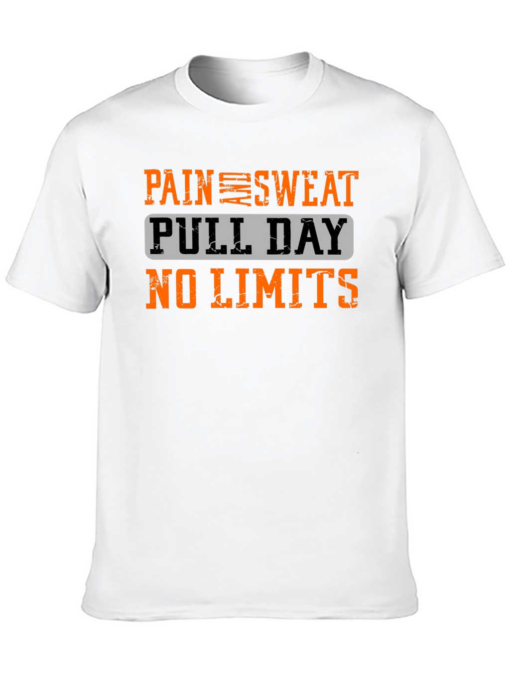 Pain Sweat Pull Day No Limits Workout T-Shirt