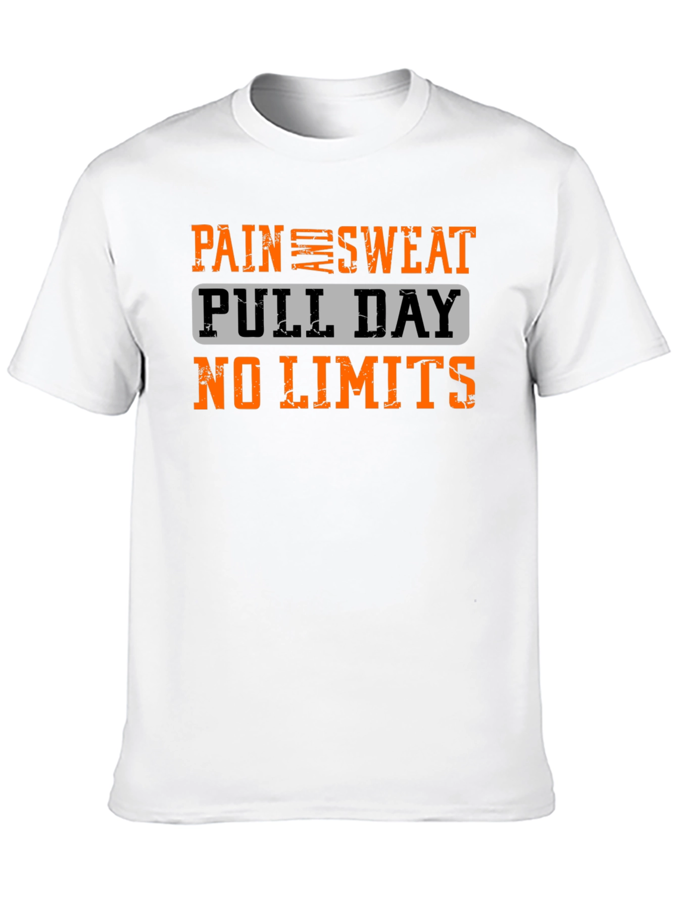 Pain Sweat Pull Day No Limits Workout T-Shirt