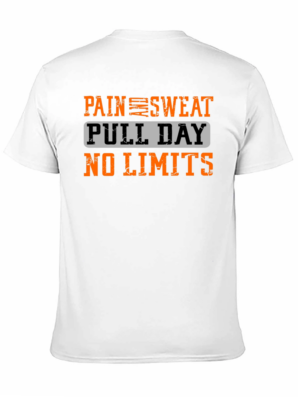 Pain Sweat Pull Day No Limits Workout T-Shirt